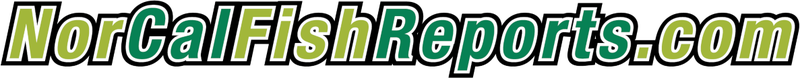 NorCal Fish Reports