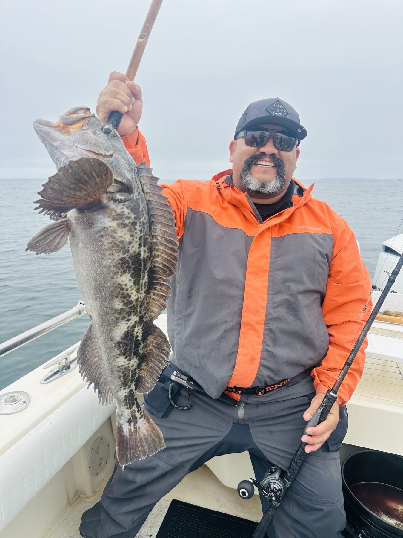 Bodega Bay lingcod