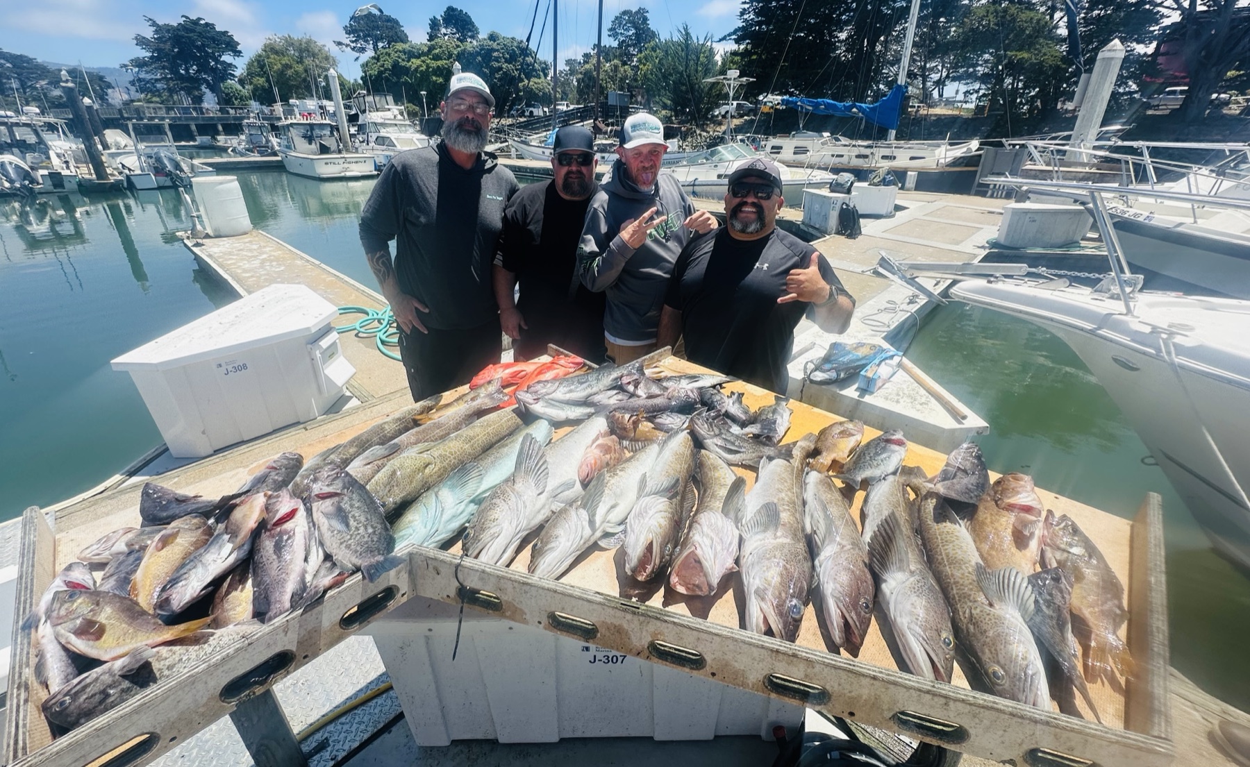 Rockfish on a Bodega Bay trip